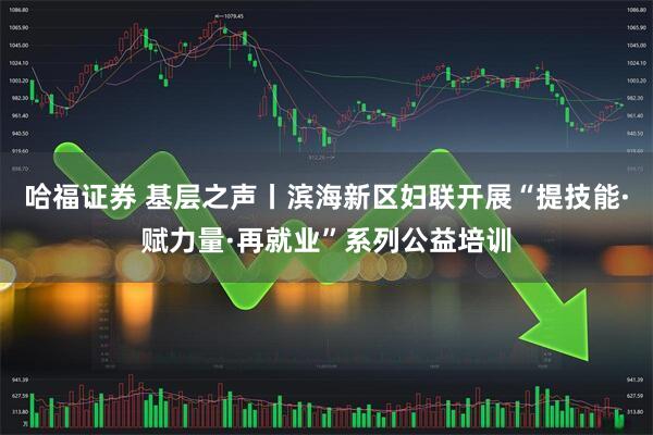 哈福证券 基层之声丨滨海新区妇联开展“提技能·赋力量·再就业”系列公益培训