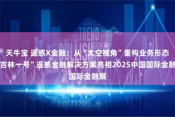 天牛宝 遥感X金融：从“太空视角”重构业务形态 ”吉林一号”遥感金融解决方案亮相2025中国国际金融展