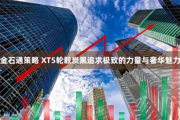 金石通策略 XT5轮毂炭黑追求极致的力量与奢华魅力